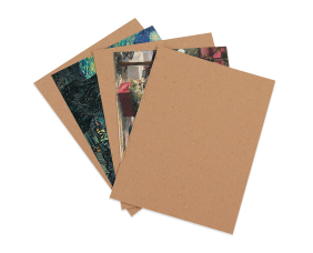 Chip Board, 12x18 22 point  420/case