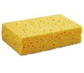 Sponges