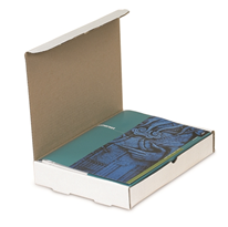 9 x 6 1/2 x 2 3/4&quot; Protective Literature Mailer, 200# / 32